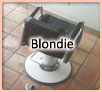 Blondie (ブロンディ)